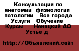 Консультации по анатомии, физиологии, патологии - Все города Услуги » Обучение. Курсы   . Ненецкий АО,Устье д.